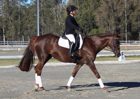 A para-equestrian rider, Sui Watts, rides her horse