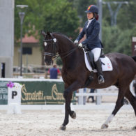 Spain’s Villalba triumphs in Para equestrian video competition